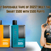 Best Disposable Vape of 2025? Meet the IVG Smart 5500 with 5500 Puffs - Wolfvapes.co.uk