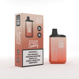 Aroma King AK5500 Metallic Disposable Vape Pod - Wolfvapes.co.uk-Berry Cranberry