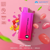 buy Hayati Duo Mesh 7000 Puff Vape Bar Pod Kit at Wolfvapes.co.uk