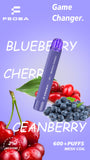 Feoba 600 Disposable Vape Puff Bar Pod Kit - Wolfvapes.co.uk-Blueberry Cherry Cranberry